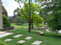 Picture of the backyard