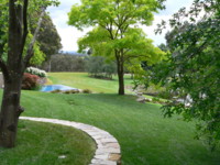 Picture of the backyard