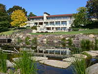 Picture of the backyard