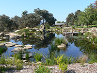 Picture of the backyard
