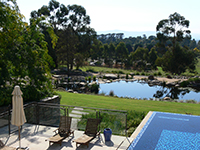 Picture of the backyard