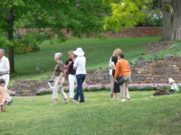 Open Day 2008