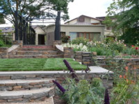 Picture from Rose Garden
