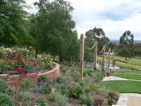 Picture from Rose Garden