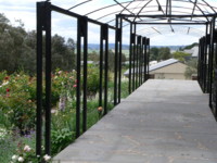 Picture from Rose Garden