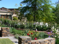 Rose Garden
