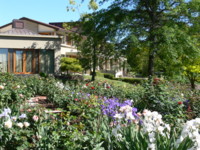 Rose Garden
