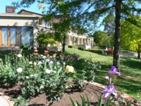 The Rose Garden